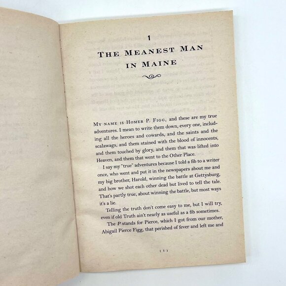 The Mostly True Adventures of Homer P Figg by Rodman Philbrick Scholastic - Picture 4 of 6